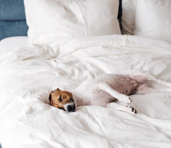 Voňavé prádlo z mandlu