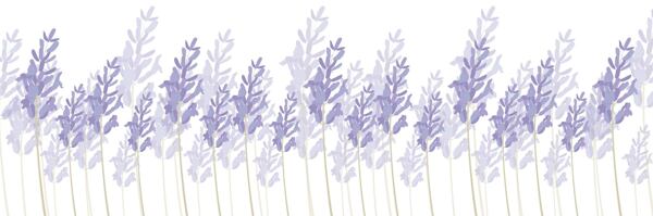 Šicí stroj Lucznik Weronika