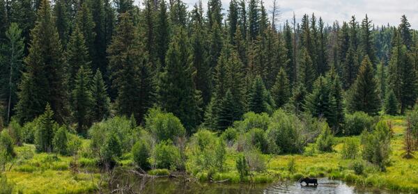 Bernina a udržitelnost