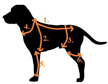 Psí oblečky aneb udržte pejska v teple