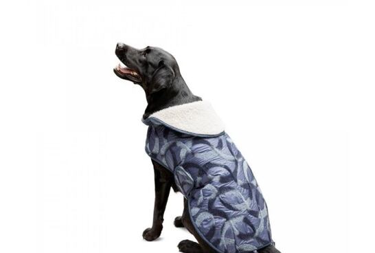 Psie oblečky alebo udržte psíka v teple