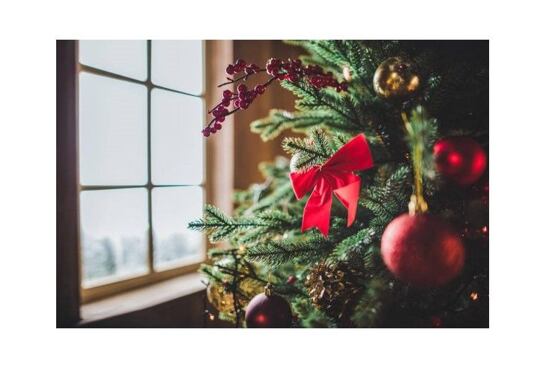 Raj šitie praje krásne Vianoce a prináša tipy na Silvester