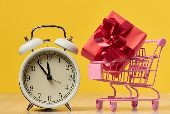 Garance doručení do Vánoc 🎄