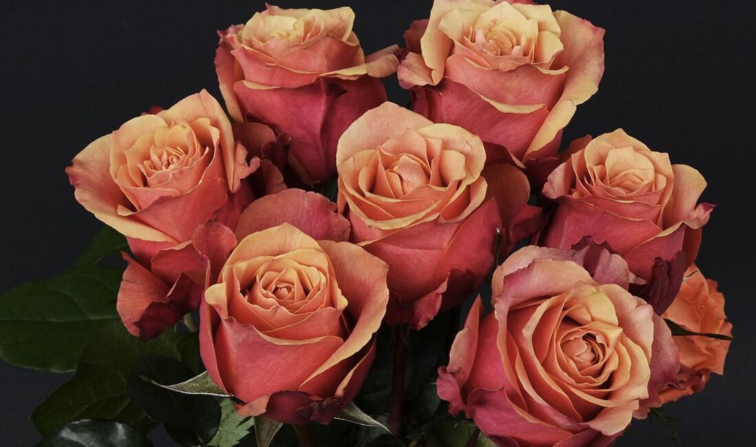 Deň matiek - poprajte mamičkám s Rajom šitie