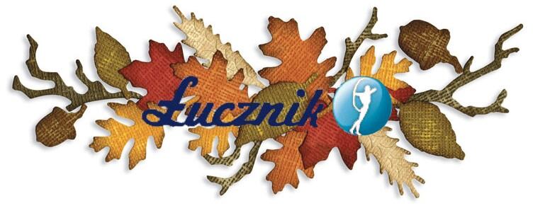 Aktualizovaná ponuka strojov Lucznik!