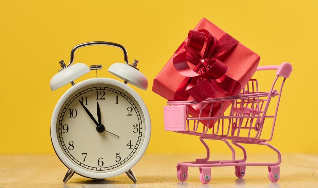 Garance doručení do Vánoc 🎄